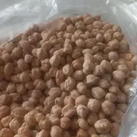 نخود تازه وزود پز