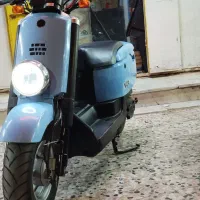 وکس فول فول