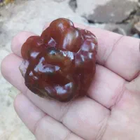 رخ زیبا تراش شده خدادادی