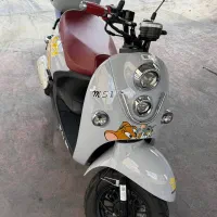 موتور ms1 50 کویر