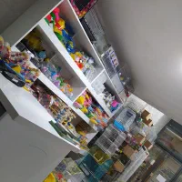 فروش انواع پرنده و ملزومات طوطی در مهرگان|پرنده|محمدیه-قزوین, |دیوار