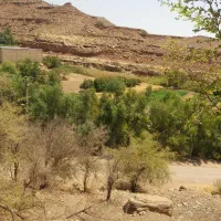 زمین در روستای گردشگری لب سفید  برای فروش
