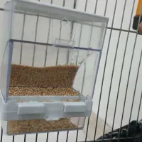 جادونی مکانیزه|لوازم جانبی حیوانات|ری, حمزهآباد|دیوار