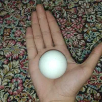 سنگ اسیاب قدیمی و باستانی (با تخفیف)