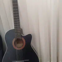 گیتار جنس برند