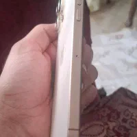 16promax 256|موبایل|تبریز, |دیوار