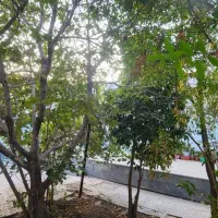 اجاره آپارتمان ۱۱۰متری دوخوابه بلوارازادگان