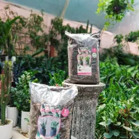 پخش عمده، تک، گل طبیعی حراج، ارزانتر از همه جا|خدمات باغبانی و درختکاری|اصفهان, رزمندگان|دیوار