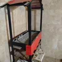 باربیکیو