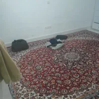 استخدام خانم جوان مجرد