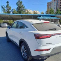 دیگنیتی پرایم صفرخشک
