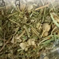 چشم نخوری بیا اینجا فروش اسفند تازه