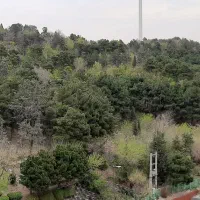 زمین-100-متری-مسکونی