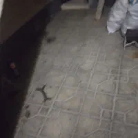 اجاره آپارتمان ۷۰ متری ۱ خوابه همکف در پیشاهنگی|اجارهٔ آپارتمان|کرج, پیشاهنگی|دیوار