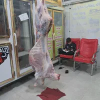 گوساله ریزقلم با استخوان