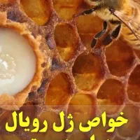 کرم رویال رفع لک.جوش سرسیاه.جوانسازی اصلی|آرایشی، بهداشتی، درمانی|دورود, |دیوار