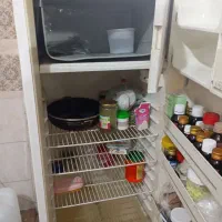 یخچال|یخچال و فریزر|شیراز, شریف‌آباد|دیوار