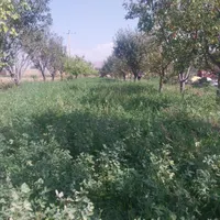 ویلا باغ در اربطان|اسکان اضطراری|مرند, |دیوار