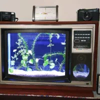 آکواریوم تلویزیونی