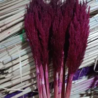 پامپاس گل خشک شب چله زیر قیمت بازار گل|گل مصنوعی|مشهد, امیر|دیوار