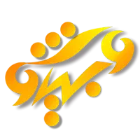 انواع خدمات طراحی سایت، پشتیبانی و رشد کسب و کار