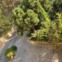 ۱۱۵ متر لوکیشن دنج و پر انرزی در ونک توانیر