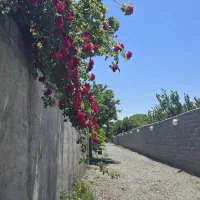 فروش-باغ-با-سند-تک-برگ-در-کردزار-شهریار