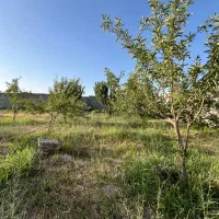 736-متر-زمین-کشاورزی