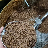 sc18دان مدیوم تفت/قهوه ویتنام،چری.|خوردنی و آشامیدنی|تهران, تهرانسر شمالی|دیوار