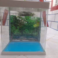 آکواریوم با پمپ اصلی