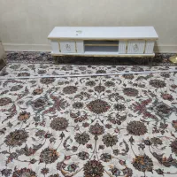 زیر تلوزیون