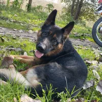 ژرمن مو کلاسیک