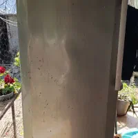 فریزر نیکسان نو|یخچال و فریزر|سیاهکل, |دیوار