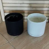 ۴۲ گلدان|گل و گیاه طبیعی|شیراز, شهرک گلدشت حافظ‎|دیوار