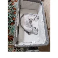 گهواره نو برند دلیجان|تخت و صندلی بچه|مشهد, مصطفی خمینی|دیوار