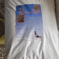 سنگ مینرال