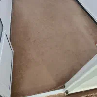 قالی کرمی و گردویی|فرش|سرپل ذهاب, |دیوار