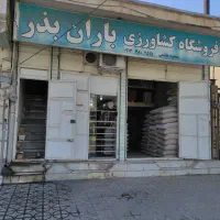 بذر باقالا گرگانی برکت و هیستال زودرس موجود است|خدمات باغبانی و درختکاری|دره شهر, |دیوار