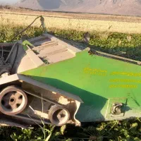 برگزن چغندر