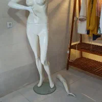 رگال و پیشخوان ویترینی|فروشگاه و مغازه|رودان, |دیوار