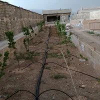 آبیاری قطره ای و فضای سبز روف گاردن|خدمات باغبانی و درختکاری|قم, شهرک قدس|دیوار