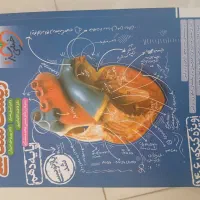 کتاب تست زیست دهم خیلی سبز تمیز