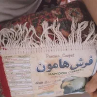 یک جفت فرش لاکی بفروش میرسد|فرش|صدرا-فارس, فاز ۱|دیوار