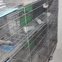 قفس پران|لوازم جانبی حیوانات|سرپل ذهاب, |دیوار