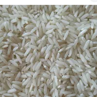 برنج طارم هاشمی