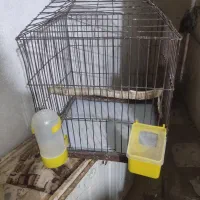 قفس بزرگ