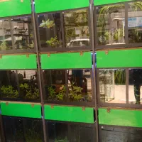 شیشه پایه آکواریم