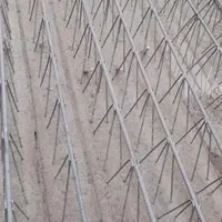 تولیدی تیرچه سازان قلعه صدری|خدمات پیشه و مهارت|قم, قلعه صدری|دیوار