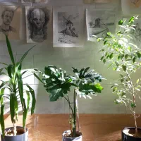 آموزشگاه نقاشی سَرو