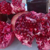 انار تناژ بالا ، عمده وجزئی